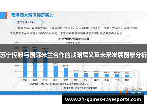 苏宁控股与国际米兰合作的战略意义及未来发展前景分析